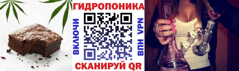 Cannafood конопля  Шилка 