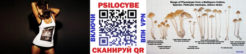 Галлюциногенные грибы мухоморы  Шилка 